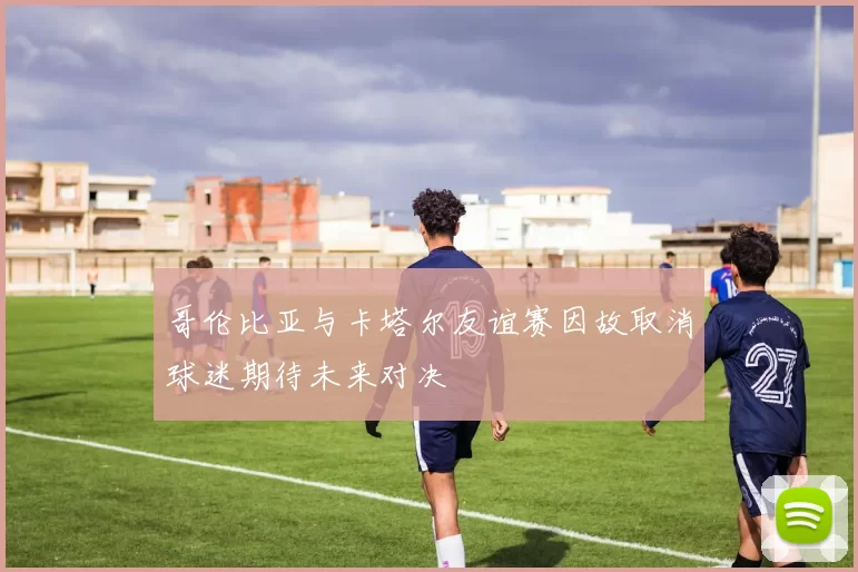 哥伦比亚与卡塔尔友谊赛因故取消球迷期待未来对决